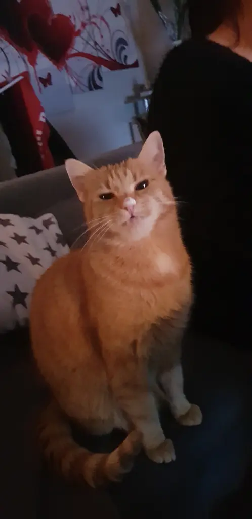 Quark ist schon was feines 😋