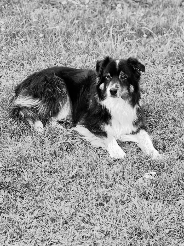 Andachtsbild von Annett