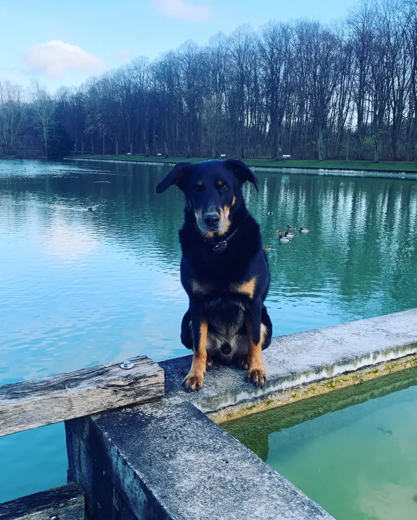 Andachtsbild von Angela Palermo