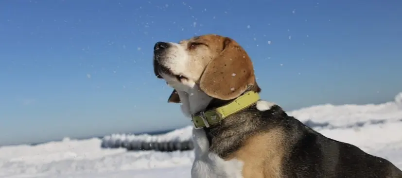 Andachtsbild von Wenke mit Lilli im❤️