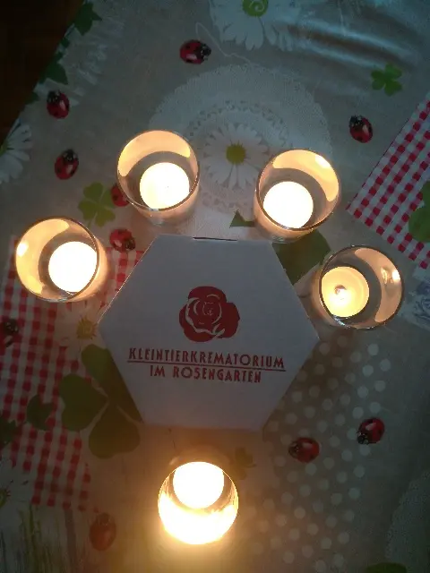 Condolence image of Regina