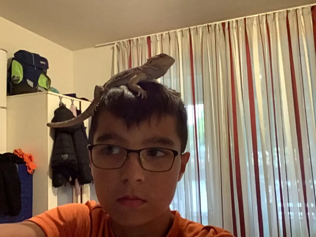 Image from Spike