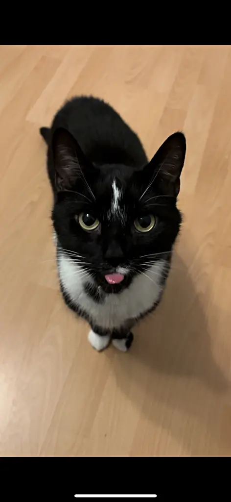 Bild von Benjamin Franklin