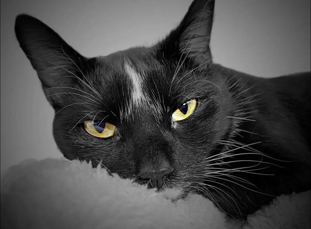 Bild von Benjamin Franklin