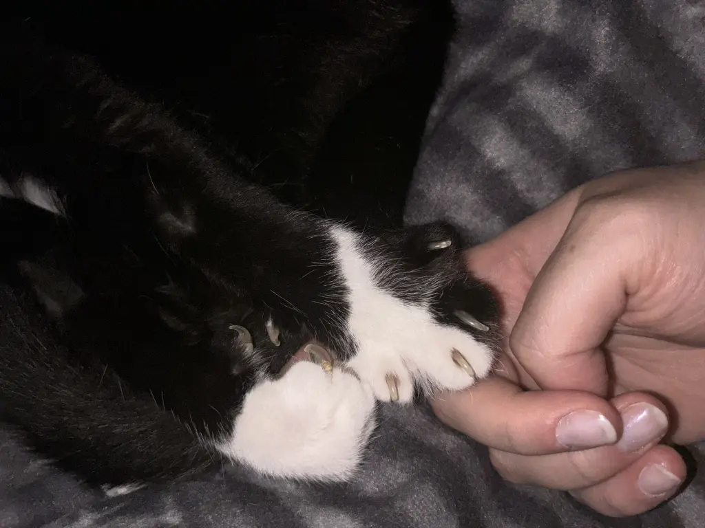 Bild von Benjamin Franklin