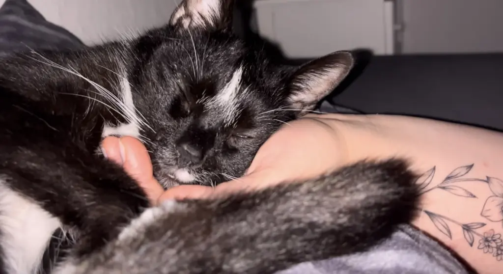 Bild von Benjamin Franklin