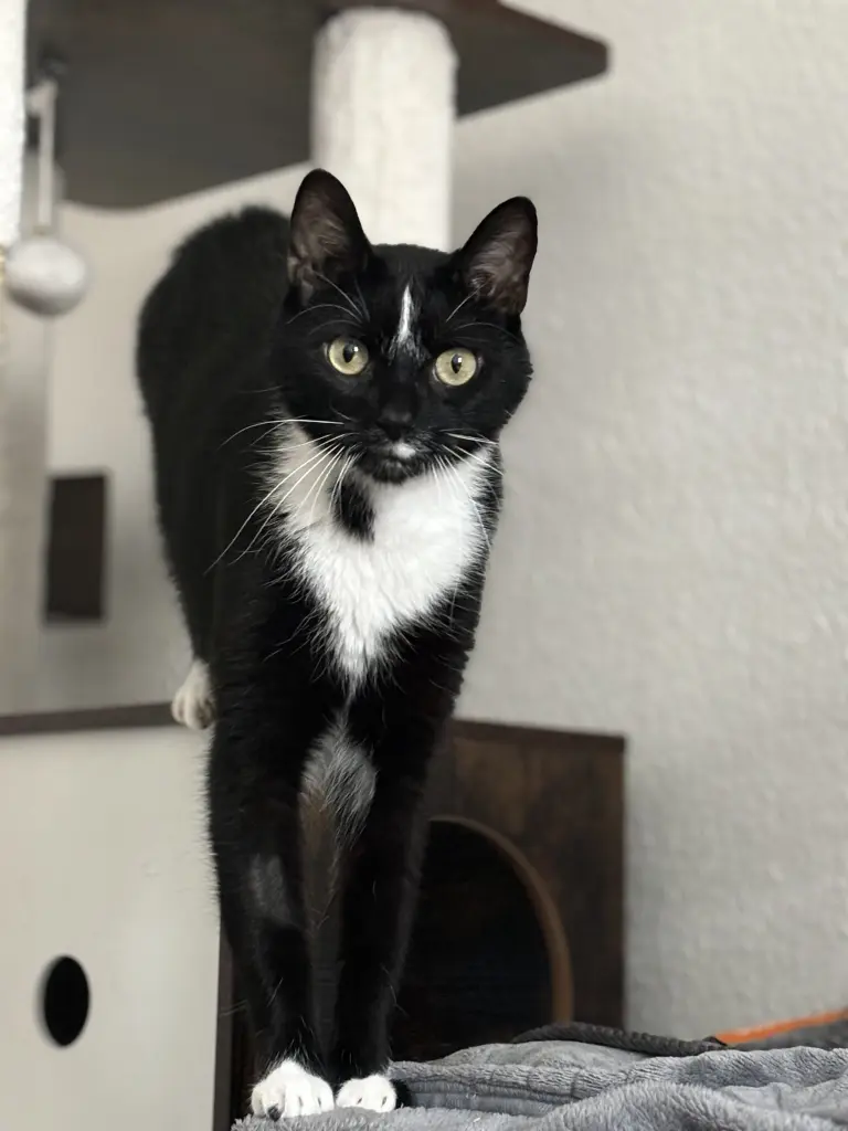 Bild von Benjamin Franklin