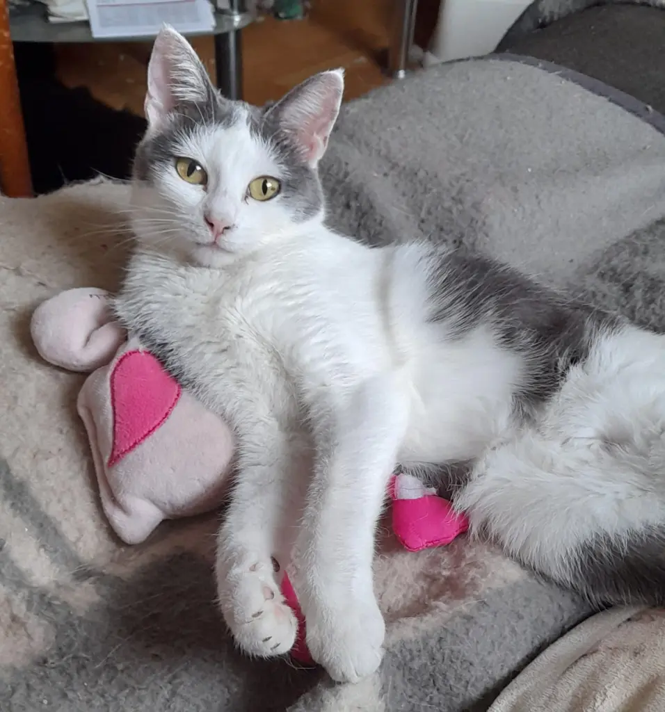 Andachtsbild von Oma