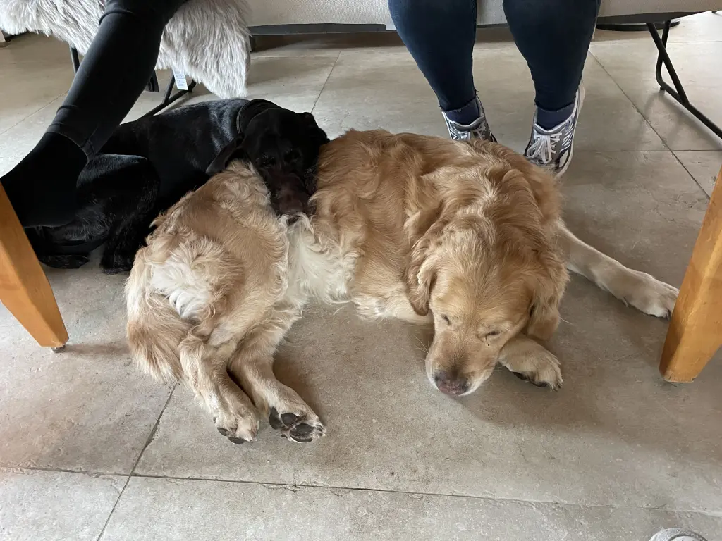 Andachtsbild von Hilde und Bente