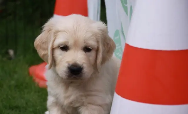 Andachtsbild von Katrin