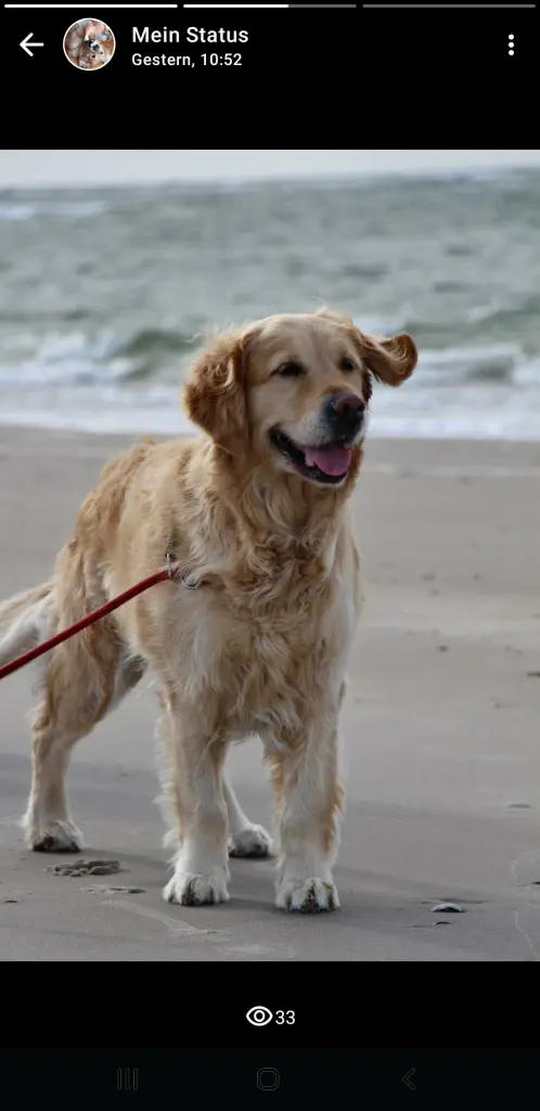 Dänemark September 2025