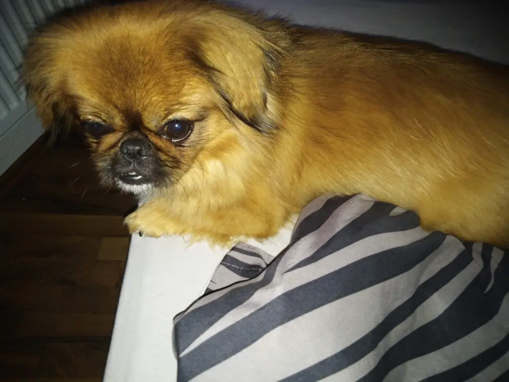 Ich bin noch klein und süß 😍