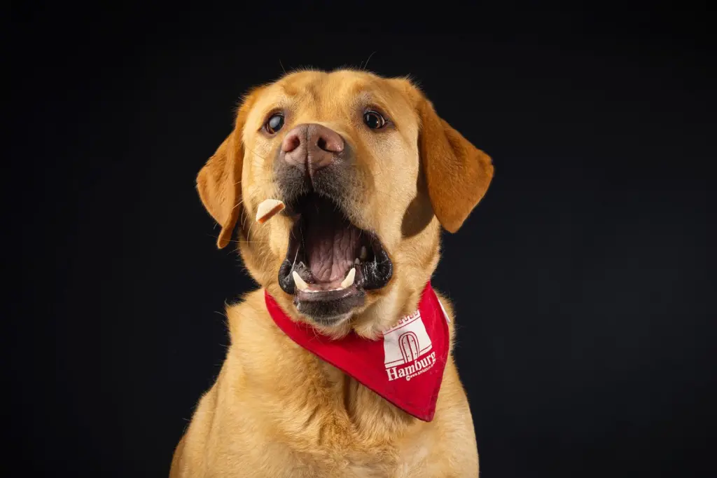 Beim Fotoshooting 💙