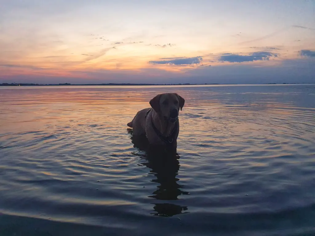 Auch abends noch baden