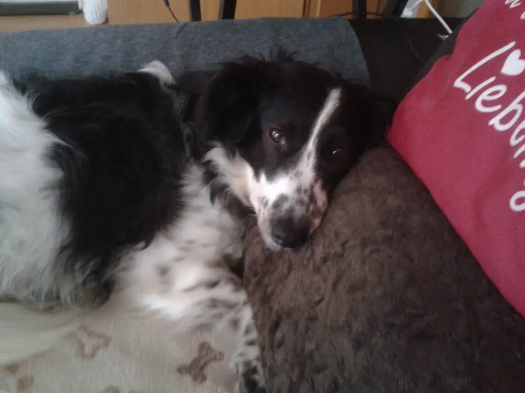 Andachtsbild von Carsten Valentin