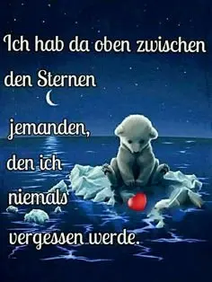 Condolence image of Jacqueline mit Diego & Aro tief im Herzen ❤