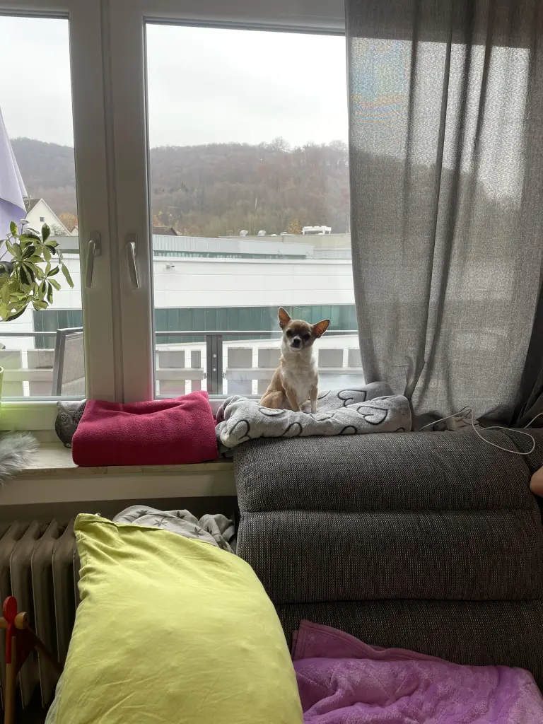 Andachtsbild von Vivien