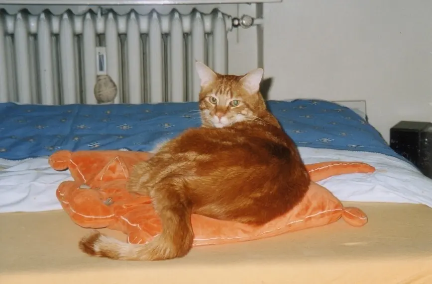 Image from Leo-Rübli