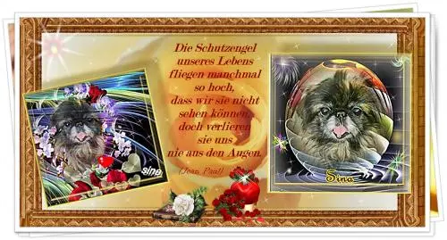 Image from my sweet little angel Sina