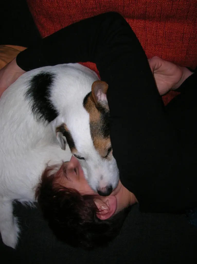 Condolence image of Kerstin mit Gismo im Herzen