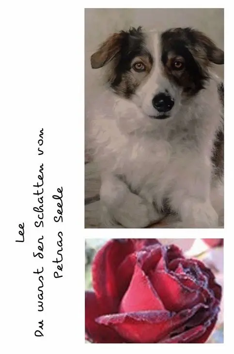 Condolence image of Geburtstagsrosen für Lee 
