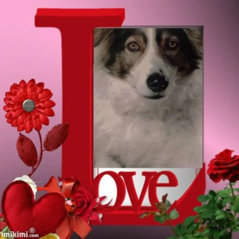 Condolence image of ❤️3. Sternchen❤️Gedenktag❤️