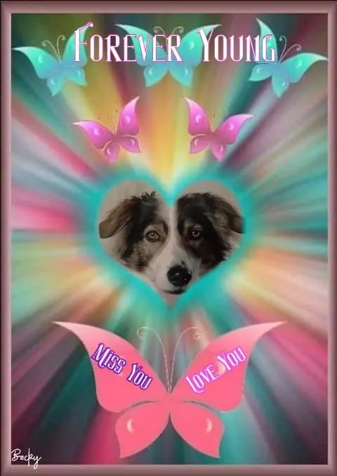 Condolence image of 6. Sternchen❤️Gedenktag❤️