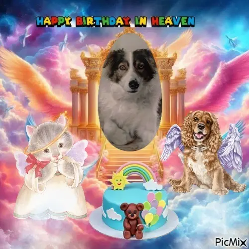 Condolence image of 18. Geburtstag❤️❤️❤️❤️❤️❤️❤️❤️❤️❤️❤️❤️❤️❤️❤️❤️❤️❤️