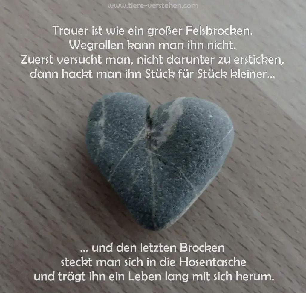 Condolence image of Konny mit Piccolino-Fly tief im ❤️