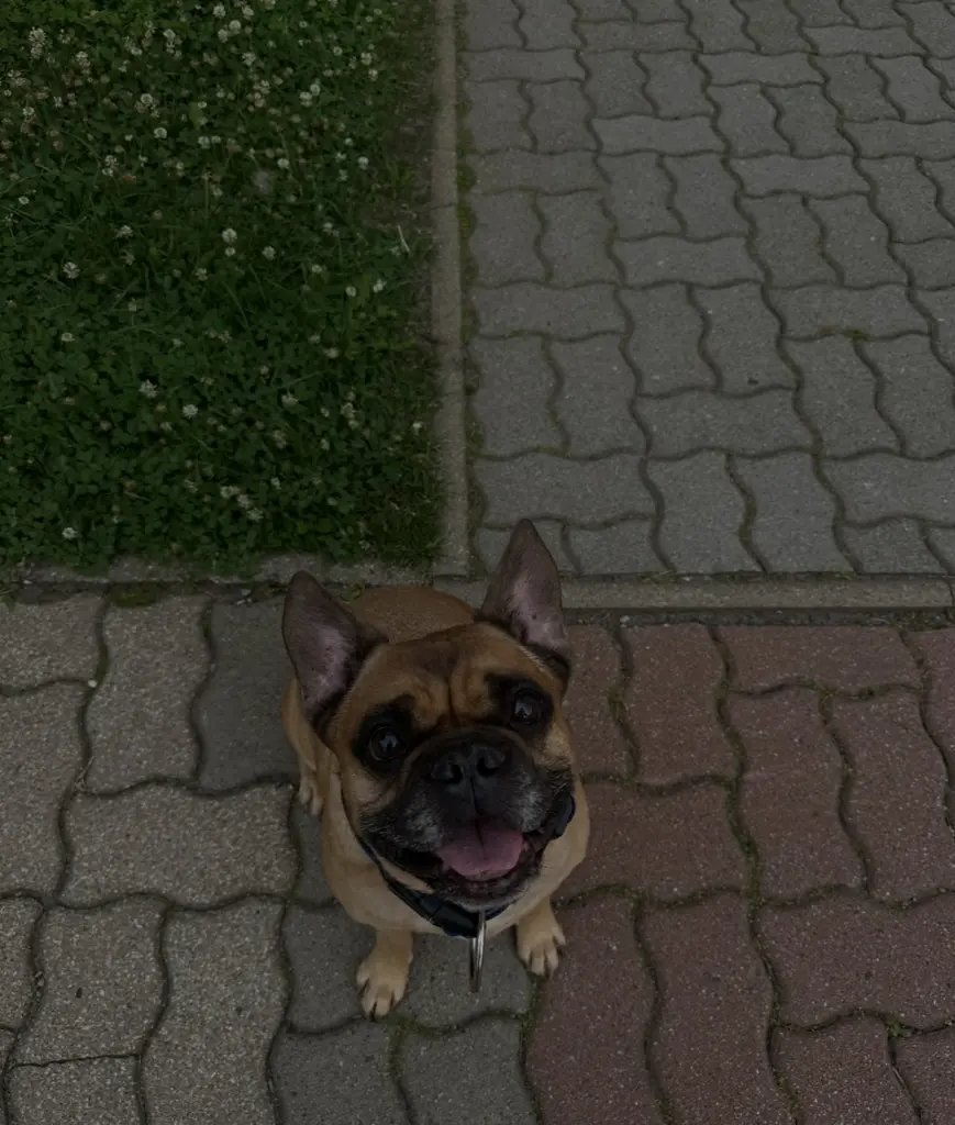 Andachtsbild von Vivienne Müller