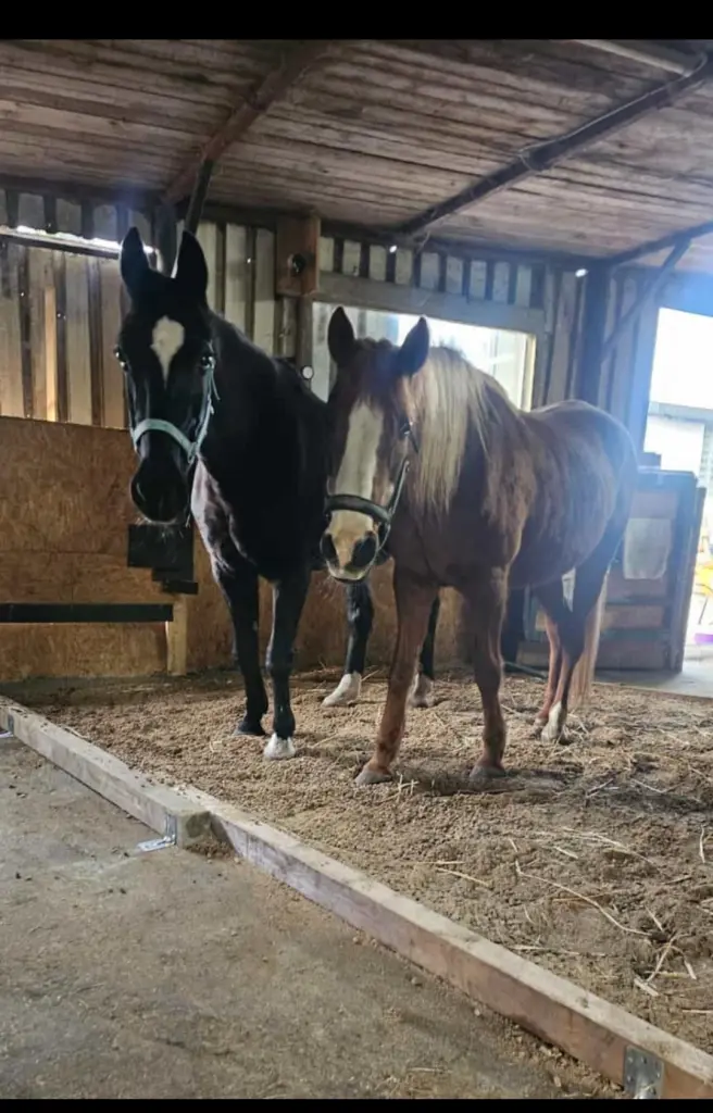 Condolence image of Indra Highland