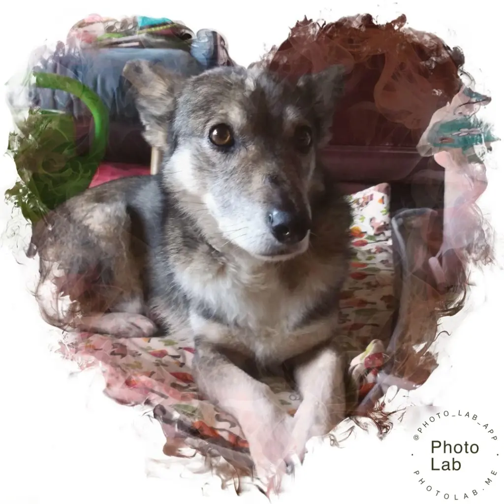 Andachtsbild von Regina