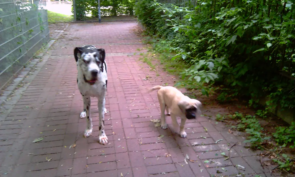 Andachtsbild von Daniela mit Sniper im Herzen