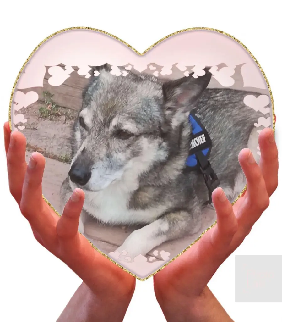 Condolence image of Regina