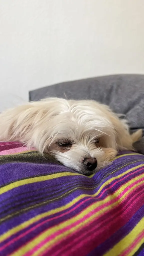 Andachtsbild von Mia Edelmann