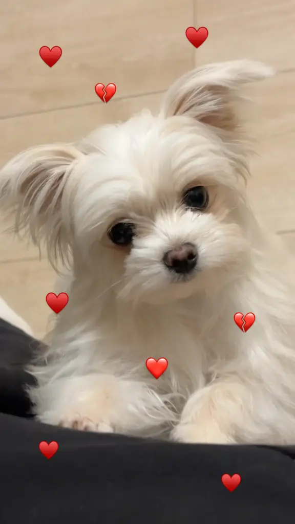 Andachtsbild von Barbara Bonic