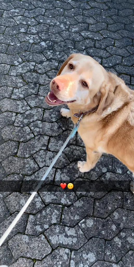 Condolence image of Deine Schwester❤️