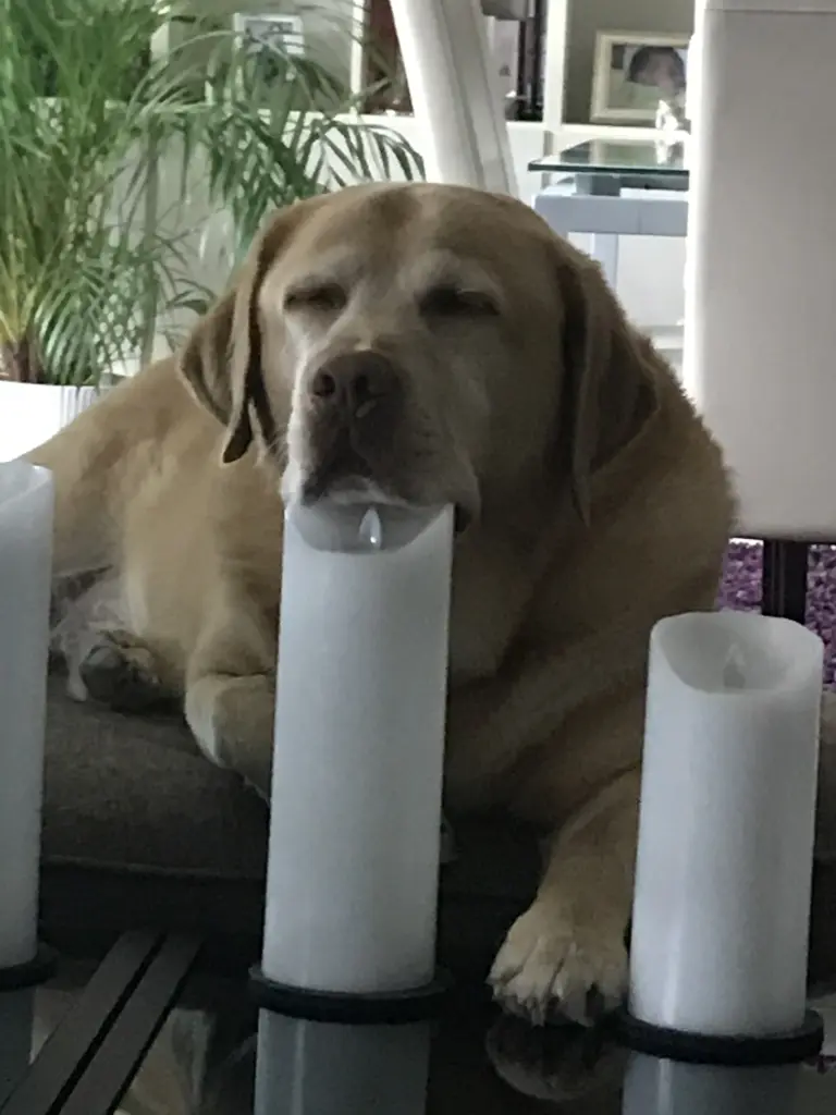 Condolence image of Deine Mama ♥️