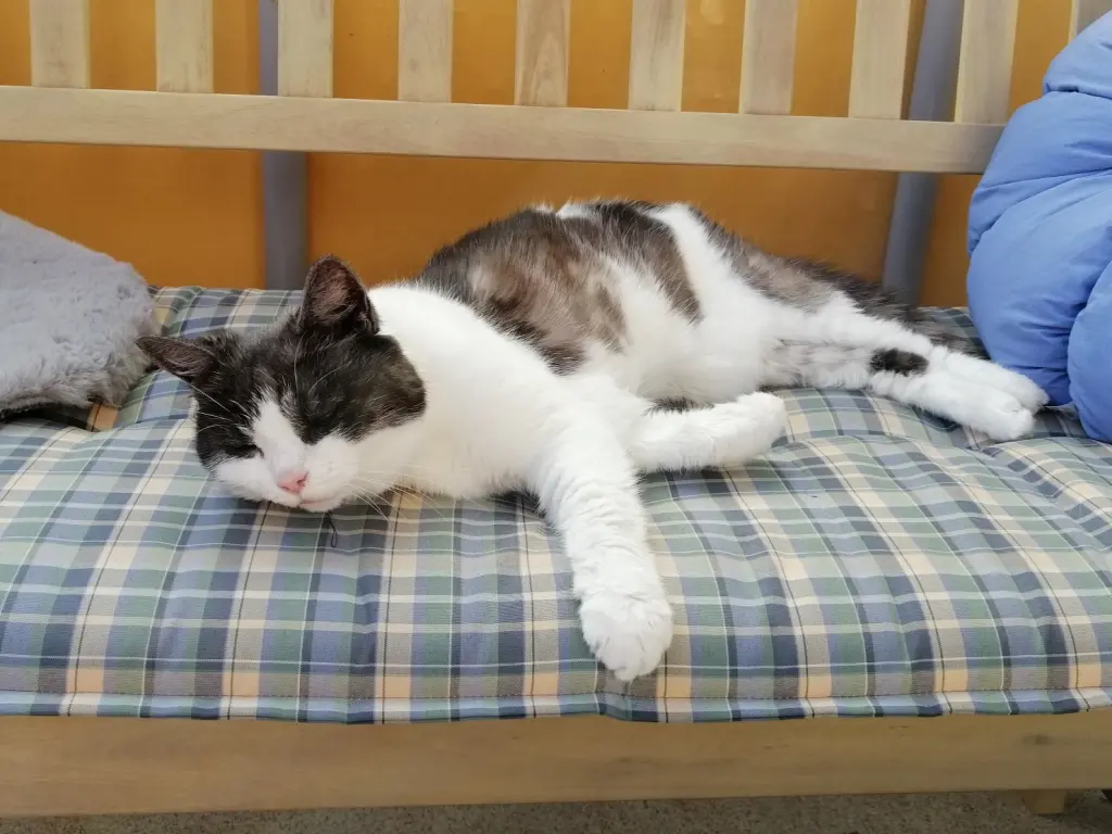 Andachtsbild von Svenja mit Luise im ❤️