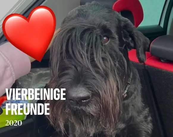 Andachtsbild von Anja Dibowski