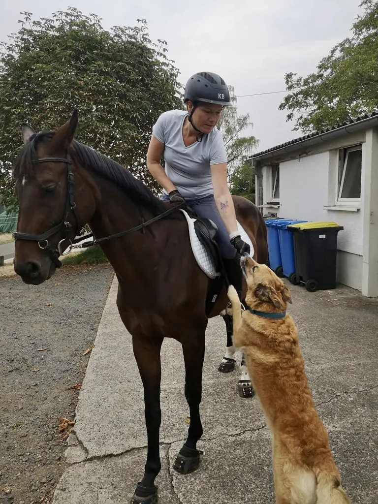 Andachtsbild von Nicole K