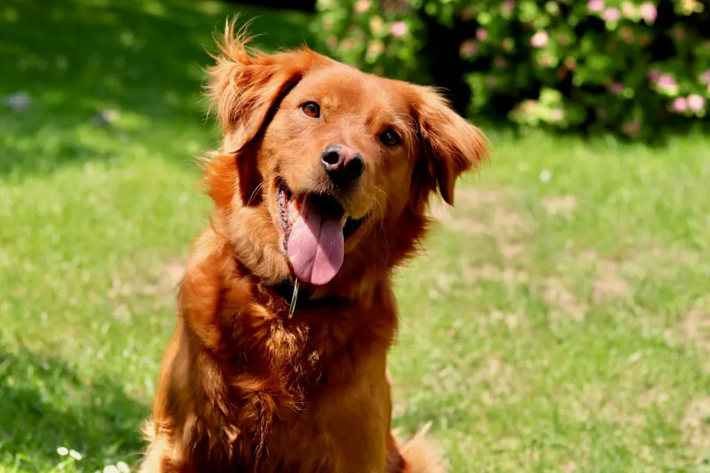 Aus Zeiten, in denen noch alles in Ordnung war