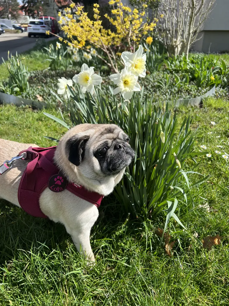 Andachtsbild von Tabea C