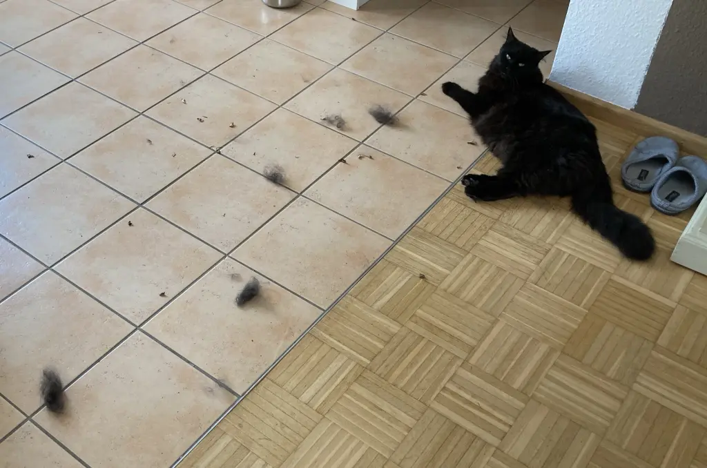 Habe mich geputzt. Personal kann aufräumen 😂 ❤️