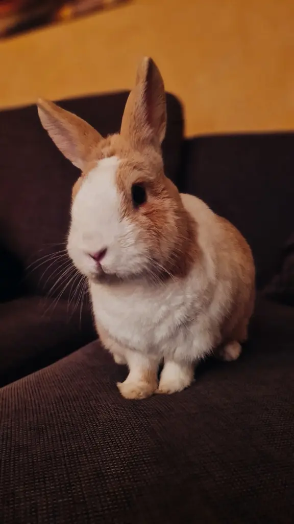 Bild von Moritz (Mömchen)