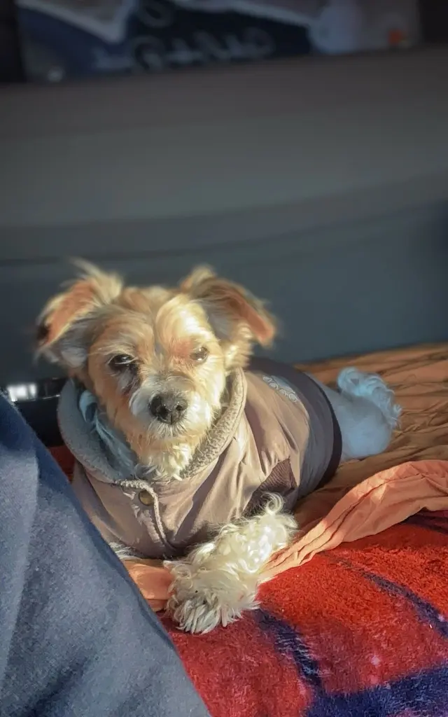 Auf Tour  im LKW mit meinem Sohn.Hat noch was von der Welt gesehen🤗