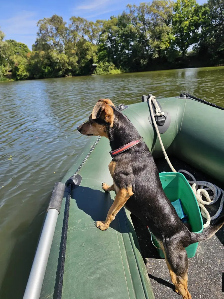 Andachtsbild von Sebastian und Annastasia Futschik Philipp