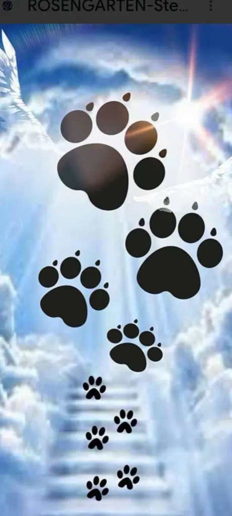 Andachtsbild von Rosi Jordan