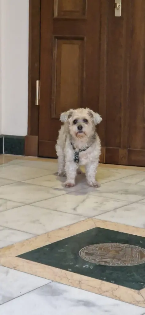 Andachtsbild von Javier Izquieta