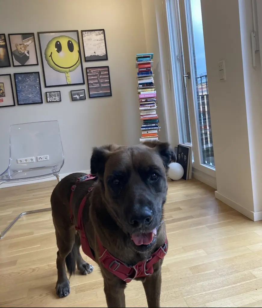 Andachtsbild von Lena